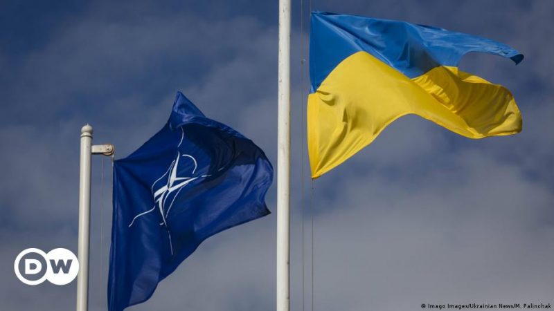 Президенти дев’яти країн Альянсу закликали НАТО збільшити військову допомогу для України