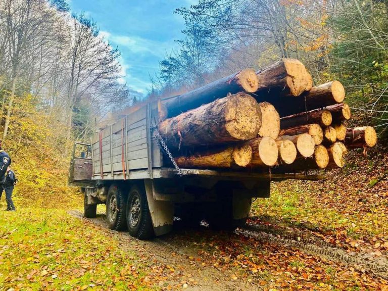 На Косівщині викрили чоловіка, який крав ліс 12 FB IMG 1666771128906