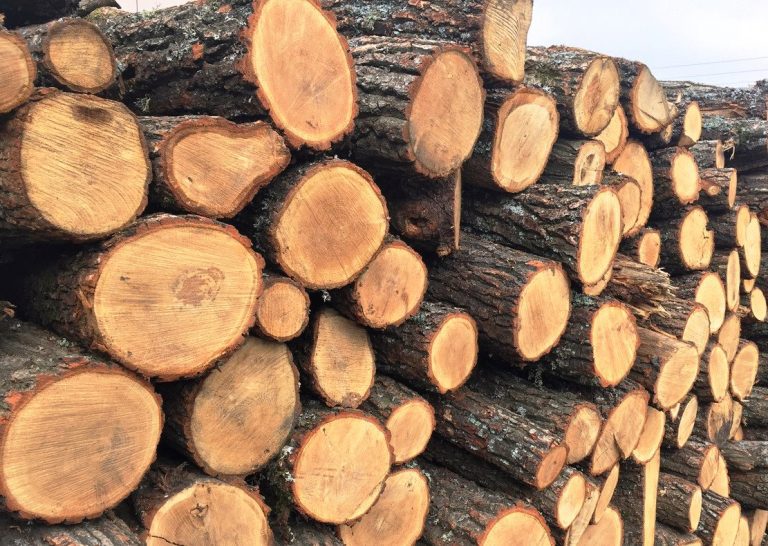Дрова в один клік: в Україні запрацював державний інтернет-магазин "ДроваЄ" 11 drova