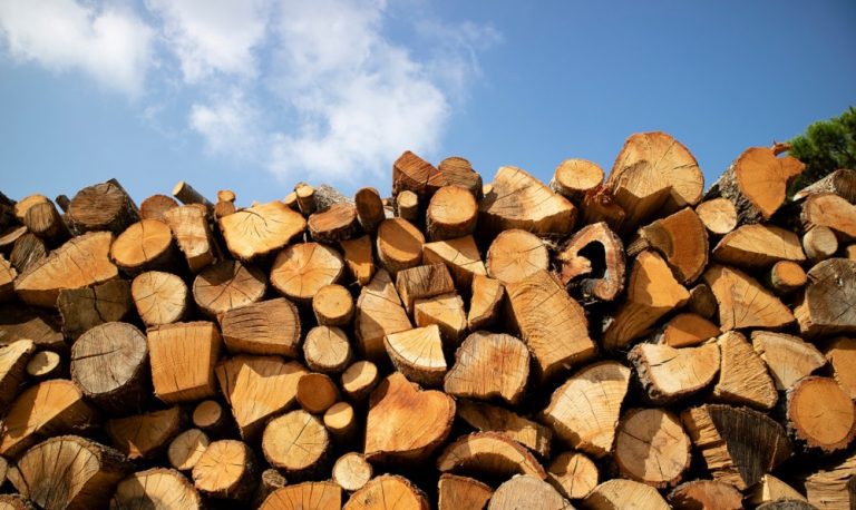 firewood