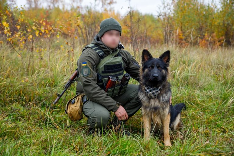 Нацгвардійська вівчарка Лорд затримала грабіжника в Івано-Франківську 6 photo 3