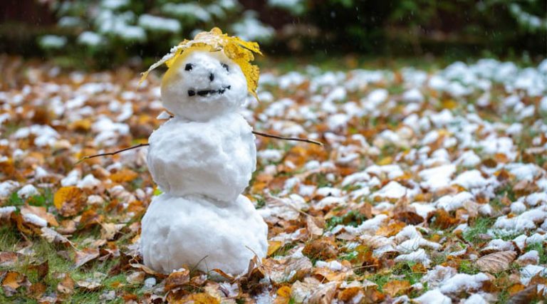 snow7