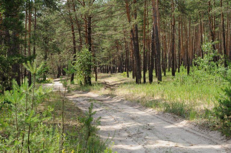 "Сумнівна фірма": богородчанці обурилися рішенням про виділення 27,7 га землі в урочищі "Діброва" 7 titul 1