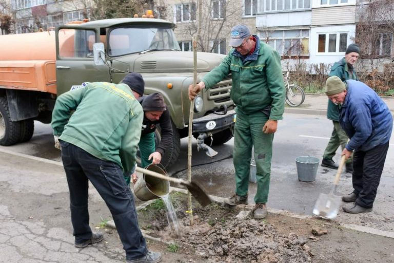 У Коломиї висаджують 125 кленів 10 FB IMG 1668627069024