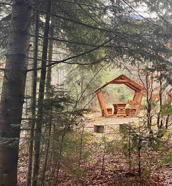Прикарпатські лісівники встановили нову альтанку біля одного з найбільш грибних місць Карпат (ФОТО)