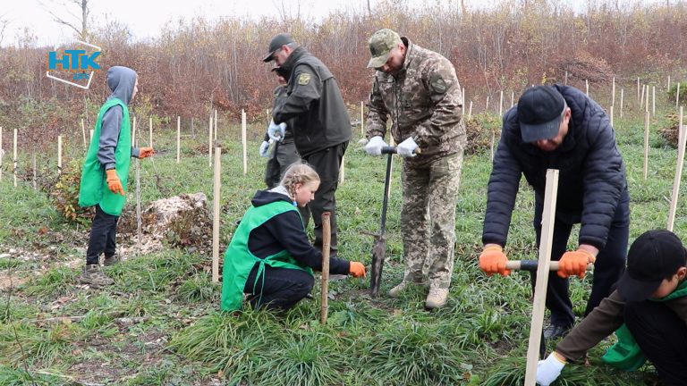 Школярі з Коломийщини разом з військовими посадили 2700 саджанців дуба (ВІДЕО) 4 Школярі з Коломийщини разом з військовими посадили 2700 саджанців дуба (ВІДЕО)