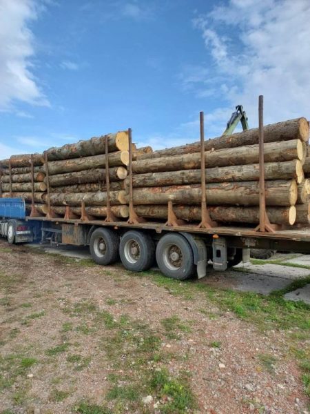 З Прикарпаття на Донеччину відправили 760 кубометрів дров: на які потреби (ФОТО)