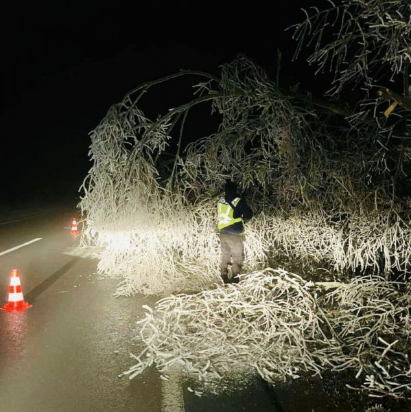 На Коломийщині поліцейський побачив, що впало дерево і забрав його з дороги (ФОТО)