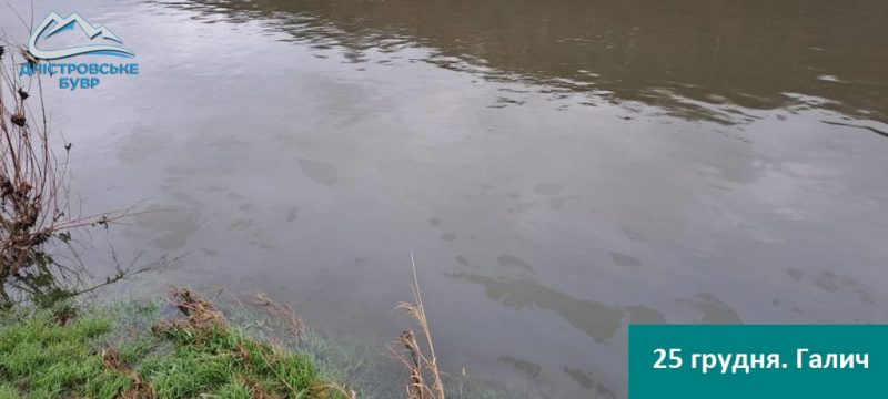 Забруднення по всій ширині річки: у Галичі Дністер вкритий масляними плямами (ФОТО)