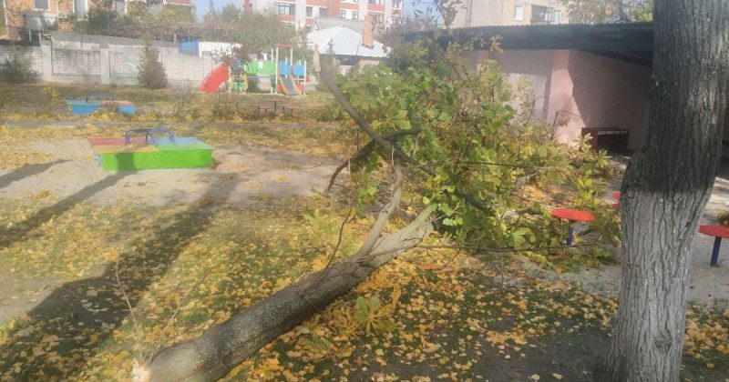 Різав дерево: у Тернополі трагічно загинув 69-річний чоловік (ФОТО)