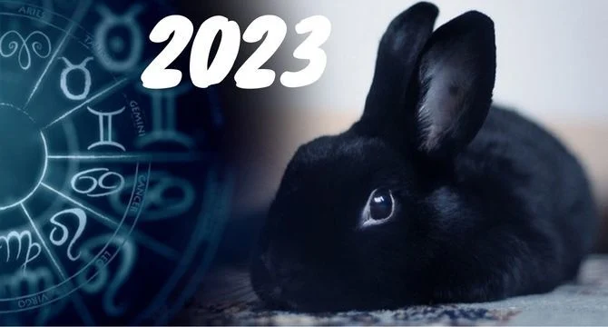 Чого очікувати від водяного кролика: гороскоп для всіх знаків Зодіаку на 2023 рік