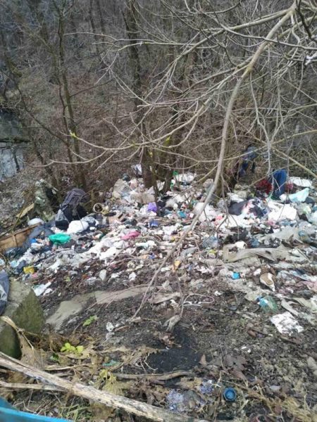 У Снятині закликають людей фотографувати порушників, які викидають сміття у невстановлених місцях (ФОТО)