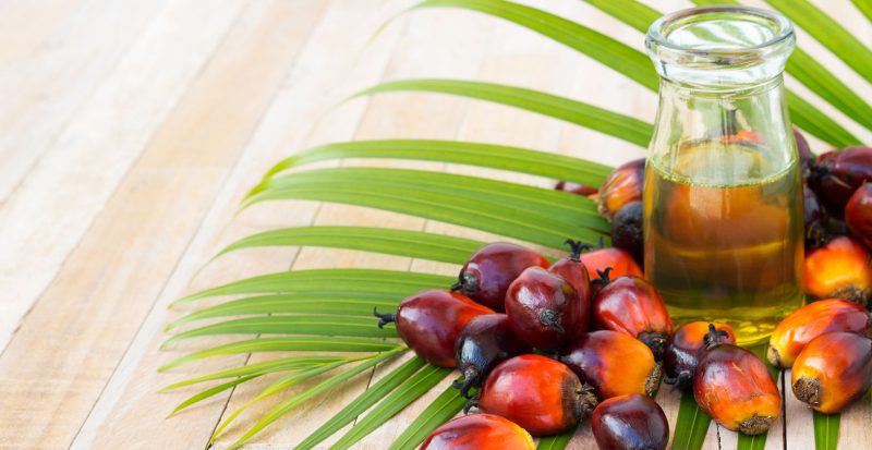 На Прикарпаття привезли небезпечну пальмову олію з Африки, яка особливо шкідлива для чоловіків