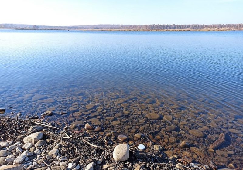 На Рожнятівщині заборонили риболовлю на водосховищі: причина