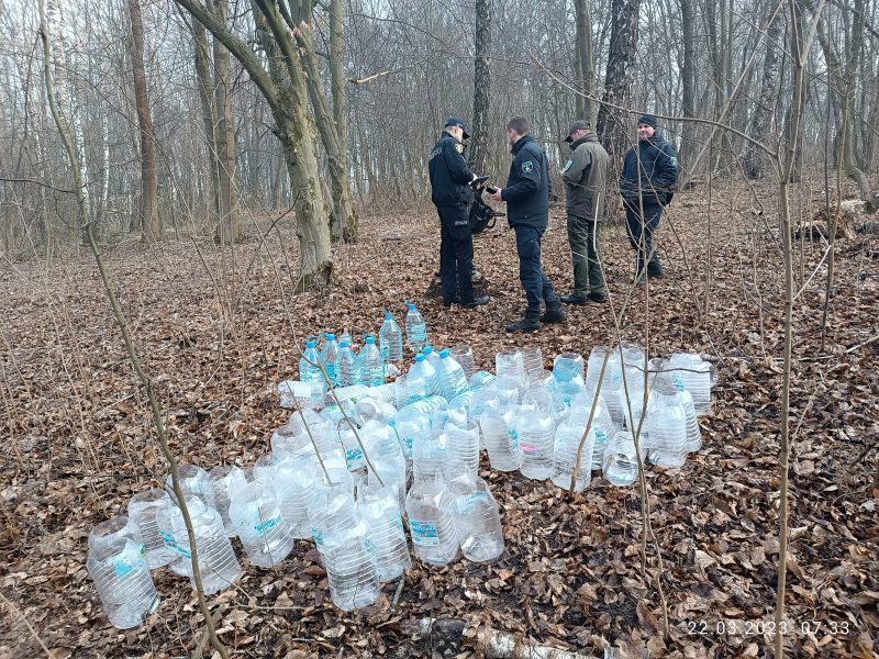 Пошкодили 80 дерев: у Тернопільському парку виявили любителів березового соку (ФОТО)