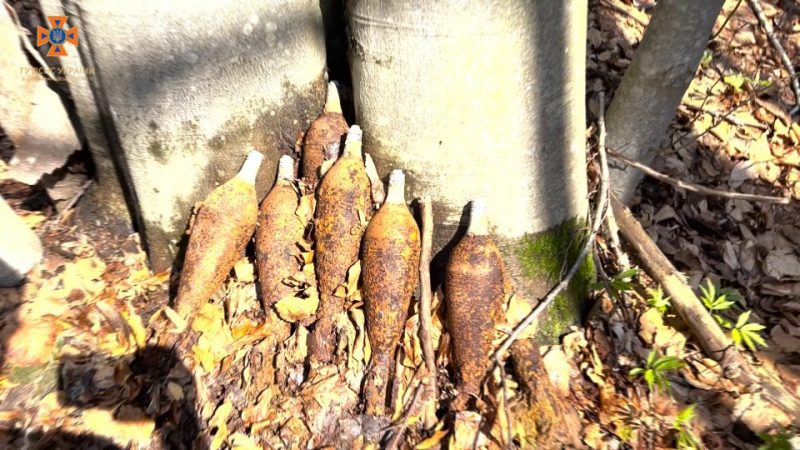 В лісі на Косівщині знайшли вибухонебезпечні 6 мін і гранату (ФОТО)