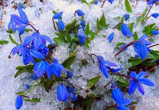 Холодно і невеликий сніг: погода в Україні 6 березня