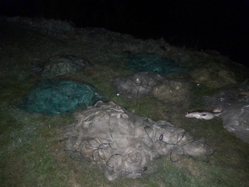 На Буковині, біля Дністра знайшли 8 браконьєрських сіток: що з рибою (ФОТО)