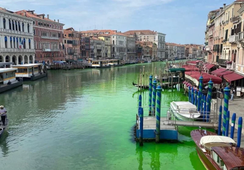 У Венеції вода у головному каналі різко змінила колір: причина (ФОТО)