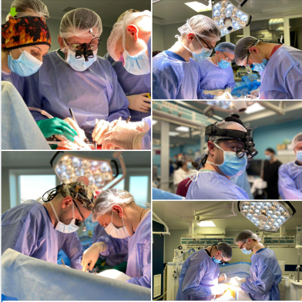Пересадили серце, легені, печінку: у Львові лікарі виконали рекордну кількість одномоментних трансплантацій (ФОТО)