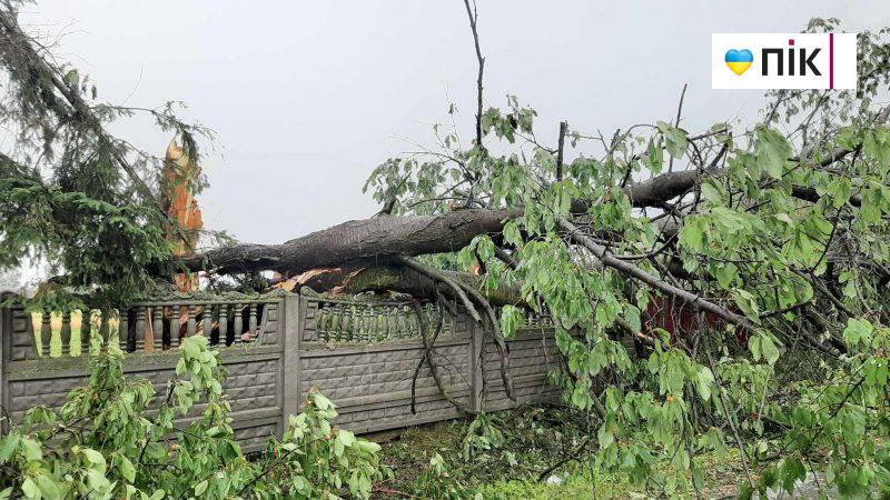 Поламані дерева й град на дорозі: негода наробила шкоди на Коломийщині (ФОТО)