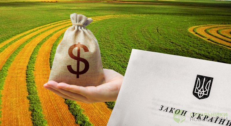 В Україні за два роки продали один відсоток земель: яка ціна гектара