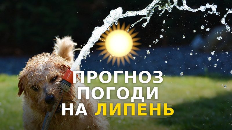Якою буде погода в Україні у липні 2023 року: прогноз синоптиків