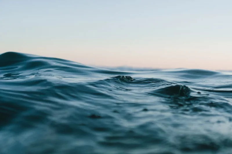 На Одещині Чорне море заполонили небезпечні токсичні водорості