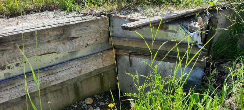 У Яремче регулярно підтоплює деякі домогосподарства: яка причина (ФОТО)