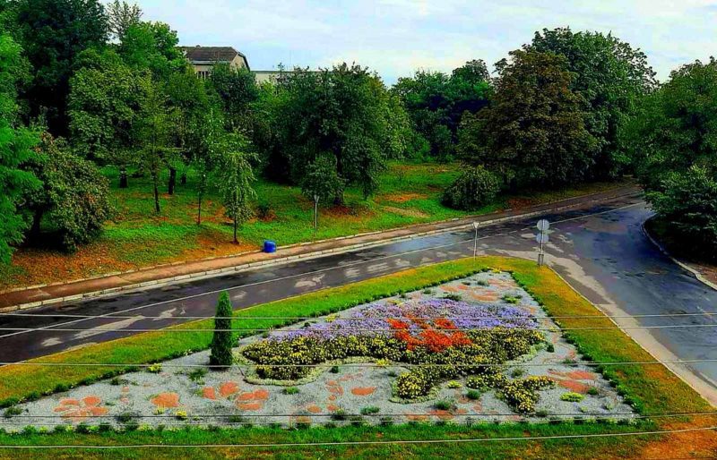 У Калуші квітне патріотична клумба у вигляді карти України (ФОТО)
