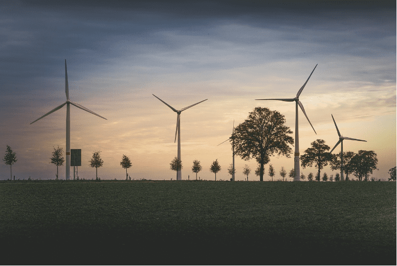 Вітрова енергія: вітрові ферми та стабільність постачання ними енергії