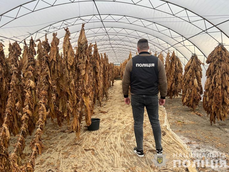Четверо прикарпатців попалися на підпільному виробництві цигарок (ФОТО) 7 65410c731611d762107386