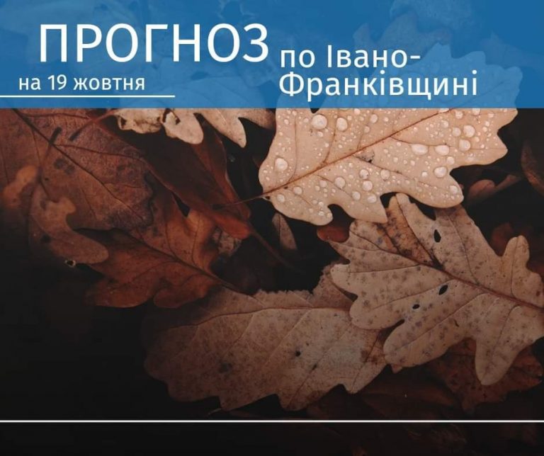 FB IMG 1697652165873