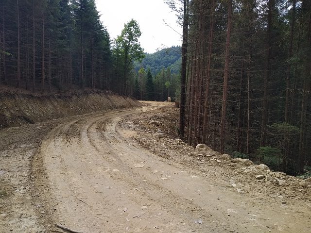 У Карпатах будують нову дорогу за державні кошти: чи має вона відношення до Буковелю
