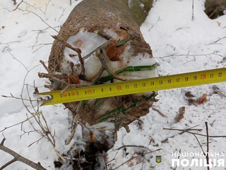 На Львівщина гілка вбила 48-річного чоловіка: як це сталося (ФОТО) 11 45331435be0413281cdd182b0e591a19