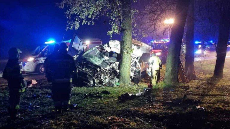 У Польщі розбився автобус з українцями: загинули дві жінки та шестирічна дитина 2 IMG 20231119 135408 305