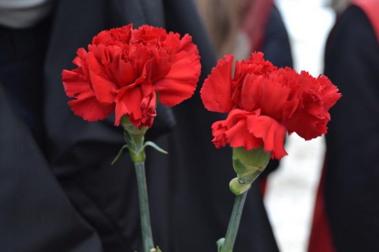 У Тернополі працівник ритуальної служби знімав золото з померлих дорогою в морг 10 tsvety 1