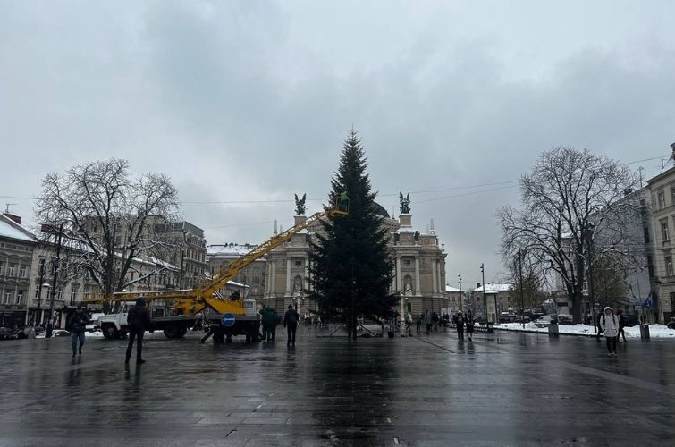 Дерево місту подарували: у Львові встановили головну ялинку 2023 (ФОТО)
