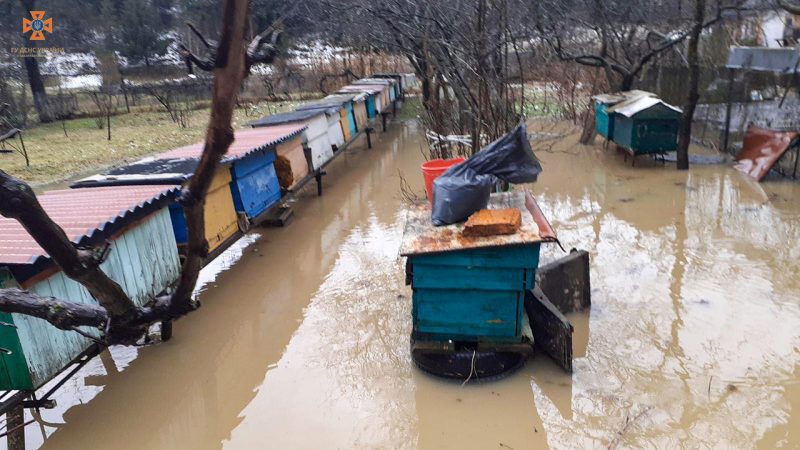 Річки вийшли з берегів: на Закарпатті підтопило дорогу та будинки (ФОТО)
