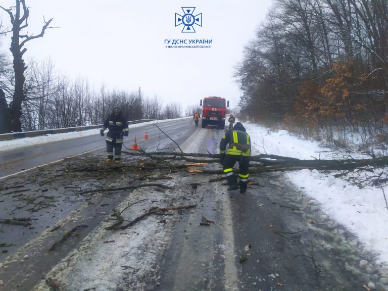 На Тлумаччині через негоду на проїжджу частину дороги впало дерево (ФОТО)