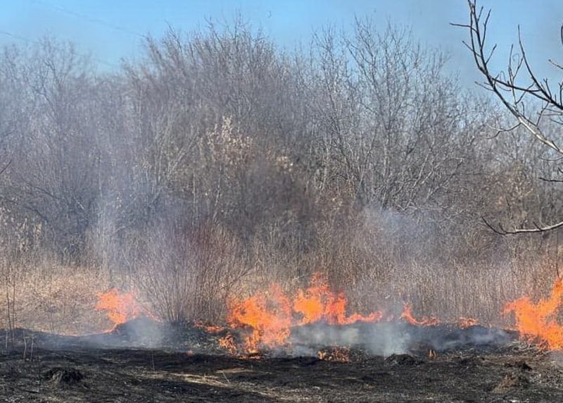 Жителька Вигодської громади спалювала суху траву: її "застукали"