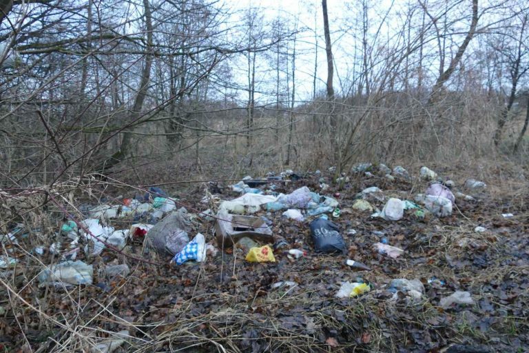 Андрій Найда перевірив, як та куди калушани викидають сміття (ФОТО) 5 1 12