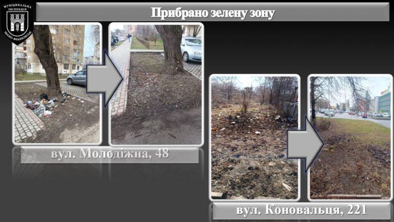 У Франківську муніципали за тиждень склали 6 протоколів на порушників благоустрою (ФОТО)