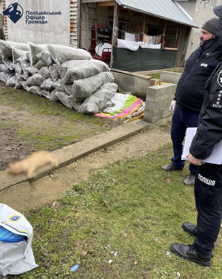 На Львівщині чоловік застрелив з пневматичної рушниці кота (ФОТО) 1 424955018 417742840834983 385608133809199195 n