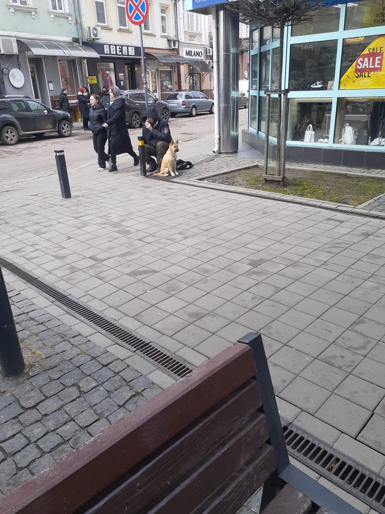У Франківську військовий з Галицької громади просить їжу для себе і своєї собаки 9 У Франківську військовий з Галицької громади просить їжу для себе і своєї собаки