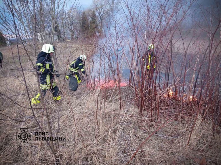 На Львівщині понад 60 рятувальників гасили пожежі сухої трави (ФОТО) 8 429685033 730246292534241 7768663138852336596 n