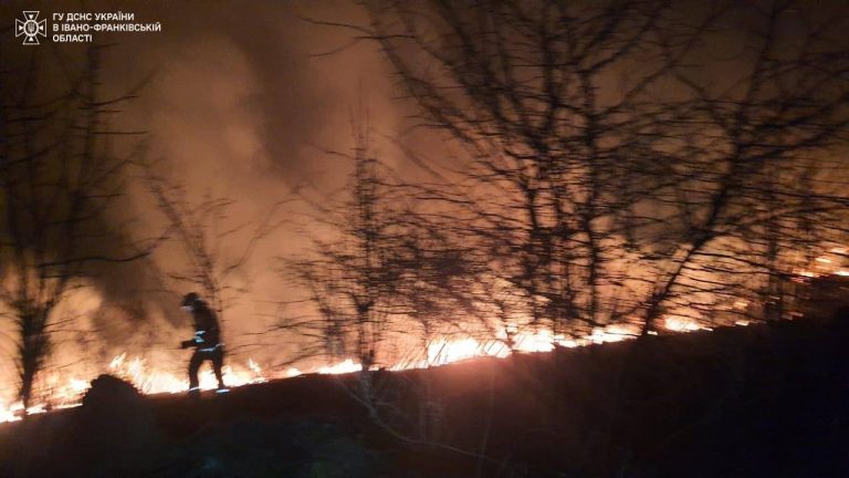 На Прикарпатті за добу трапилося 15 пожеж трави (ФОТО) 7 IMG 20240228 101314 288