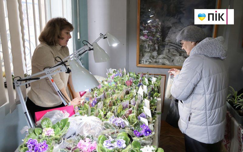 У Франківську відбувається виставка фіалок і кактусів (ФОТО) 8 IMG 9532 2 scaled