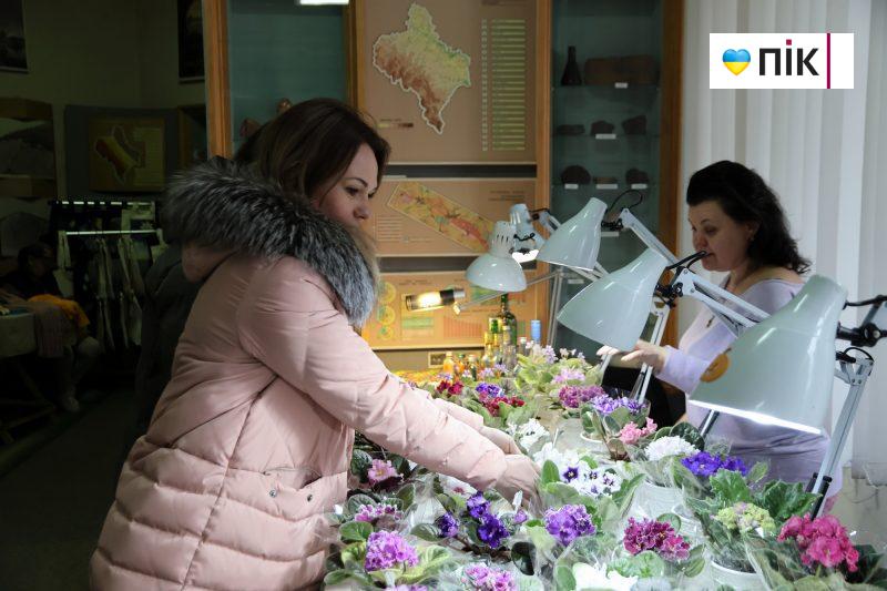 У Франківську відбувається виставка фіалок і кактусів (ФОТО) 7 IMG 9682 2 scaled