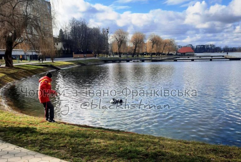 У Франківську на міському озері працювали водолази: що шукали? (ФОТО) 2 photo 2024 02 21 17 11 53 605x320
